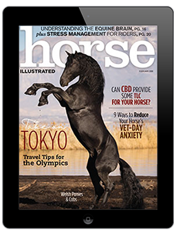 The cover of the February 2020 digital issue of Horse Illustrated.