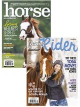 young rider + horse illustrated