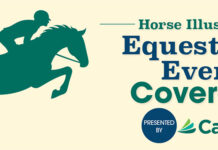 horse illustrated equestrian coverage