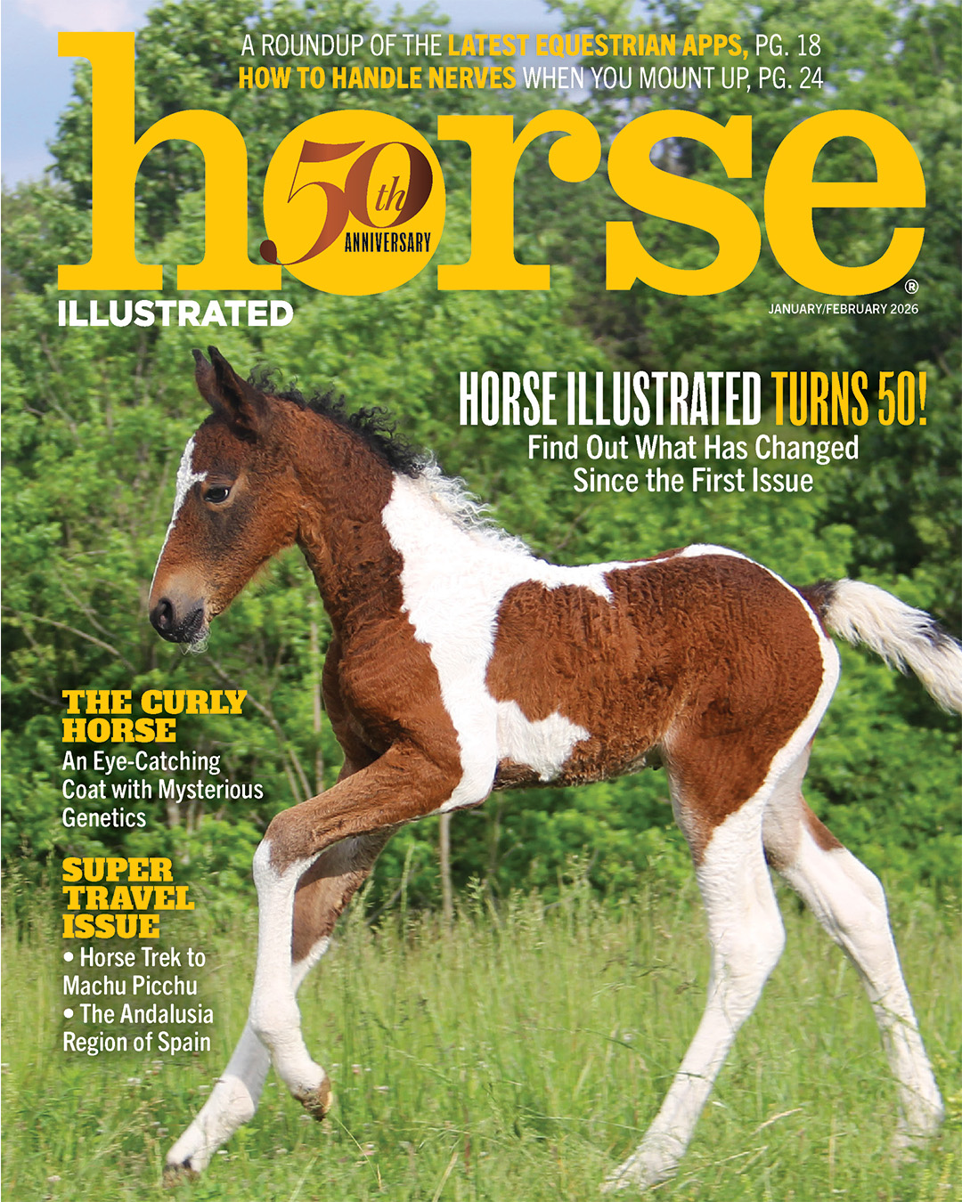 Horse Illustrated's 50th Anniversary