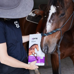 A REVOLUTION IN JOINT CARE