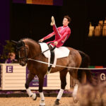 fei world championships