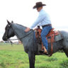 Jason Irwin on a blue roan horse