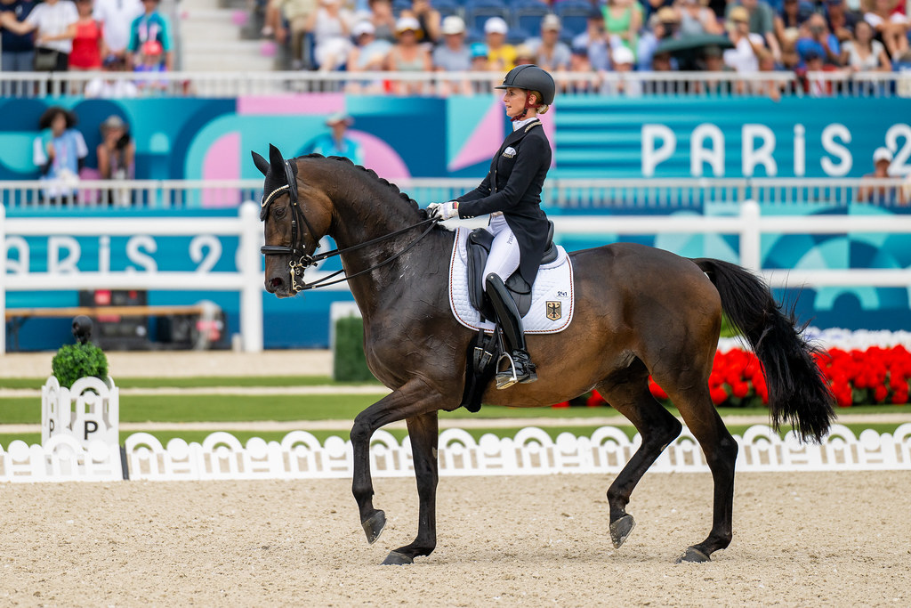 Olympics Riding 2024 Paris Olympics: Latest News - Horse Illustrated