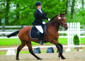 Horse and rider competing in dressage.