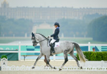 Kate Shoemaker and Vianne scored 80.170% to take silver in Grade IV Individual Freestyle Para Dressage at the Paris 2024 Paralympics