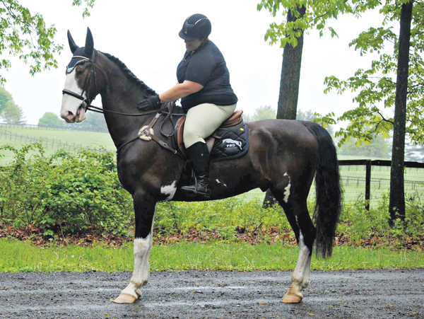 Kylie Standish and Noodle - self-acceptance as a rider