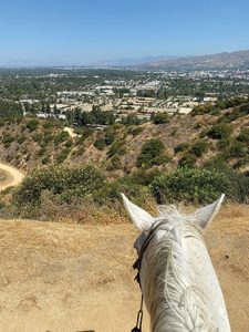 Riding trails near Los Angeles.