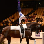 lamber leclezio 1 sarah miller