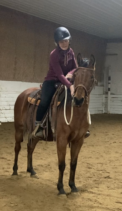 Paso Fino mare under saddle