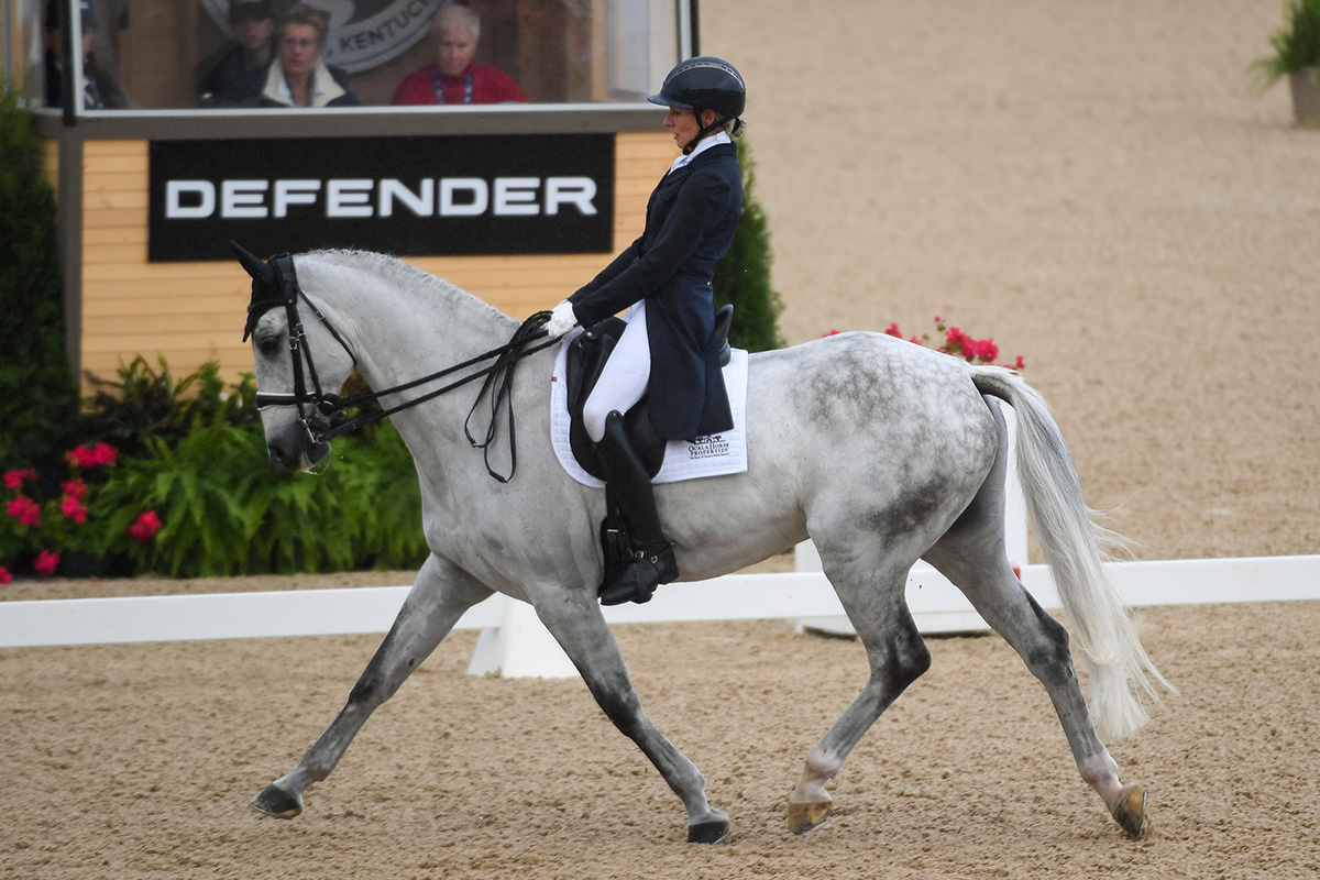 dressage Kentucky Land Rover