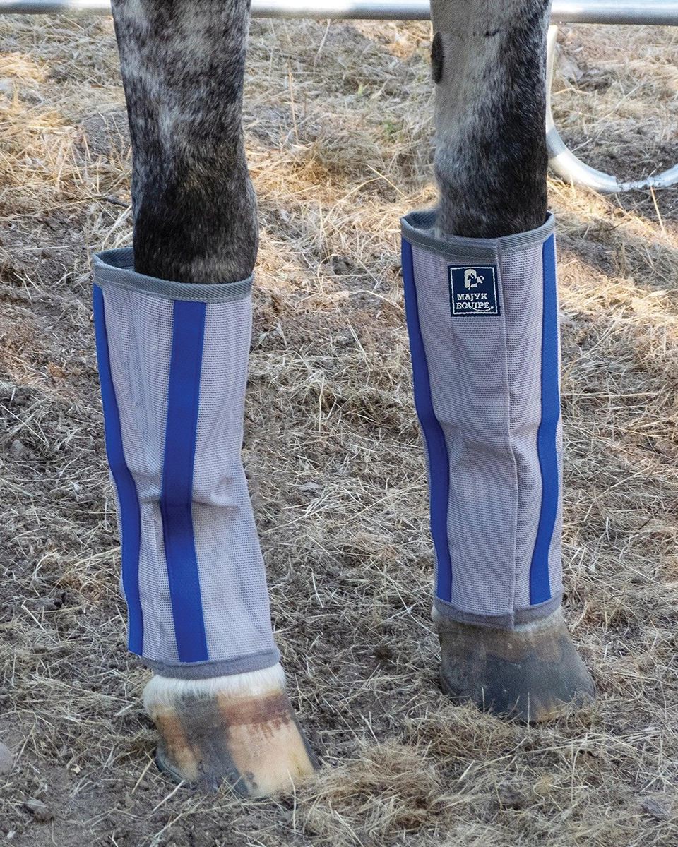 Majyk Equipe boots.
