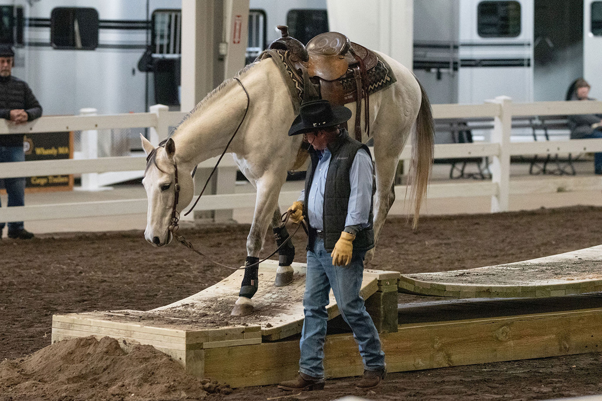 Mark Bolender teaching a Mountain Trail clinic at Equine Affaire