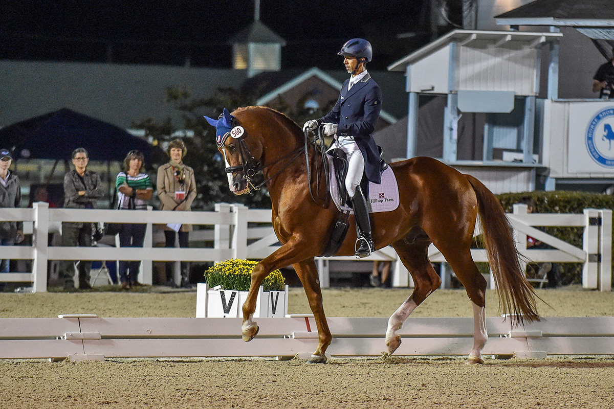 Grand Prix dressage being performed in front of a crowd