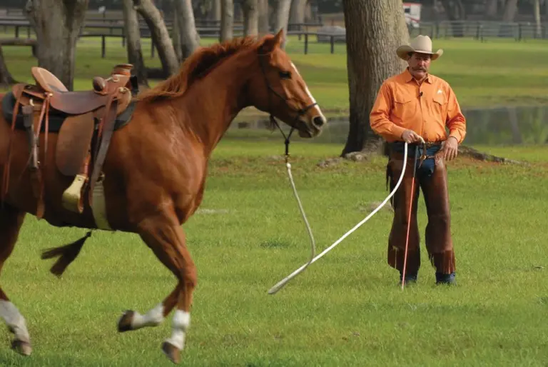 Horsemanship Myth 2: “Saddle them up and get on.”