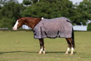 Fly Season Gear