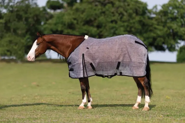 Fly Season Gear
