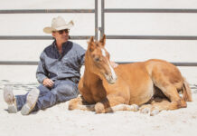 listening to the horse