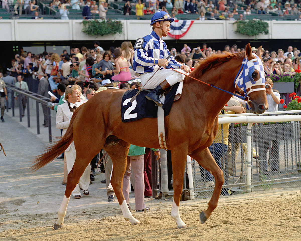 Secretariat heading to post for the Belmont Stakes. This year marks the 50th anniversary of his Triple Crown win.