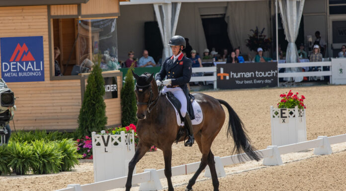Tom McEwen and JL Dublin (GBR) score a 24.6 in their 2024 Defender Kentucky dressage test