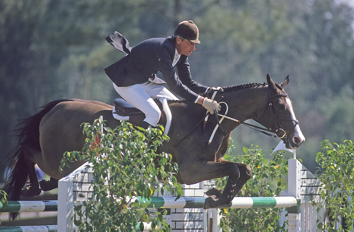 Touch of Class, a diminutive Thoroughbred mare, dominated the show jumping world with Joe Fargis.