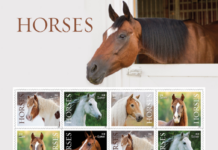 USPS horse stamps
