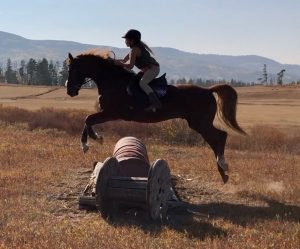 Vet Adventures: Meeting Kidd