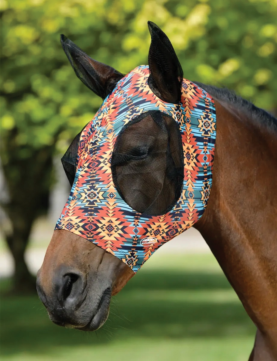 Weatherbeeta fly mask, important gear for summer.