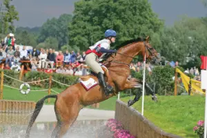 The Most Unforgettable Horses