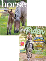 YR and HI Print Combo