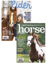 young rider + horse illustrated