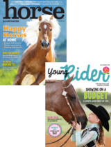 combo promotion print cover images