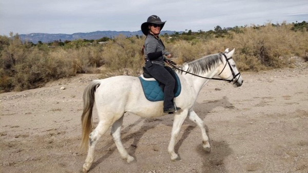 Recreational Riding Programs for Horse Breeds - Arabic