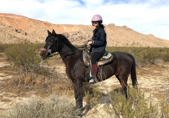 My Right Horse Adoptable Horse of the Week - Roxy