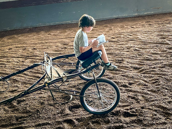 Boy reading in the arena