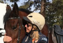 Horse Breed Recreational Riding Programs - Morgan