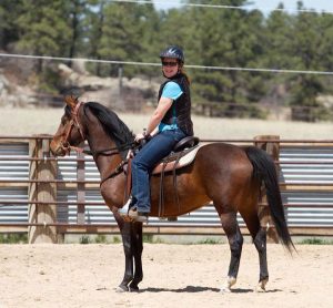 Recreational riding programs for horse breeds - Morgan
