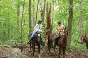 Mounted orienteering - Riders examine a landmark.