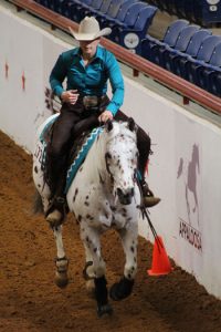 2019 World Championship Appaloosa Show: Celebrating 30 Years in Fort Worth