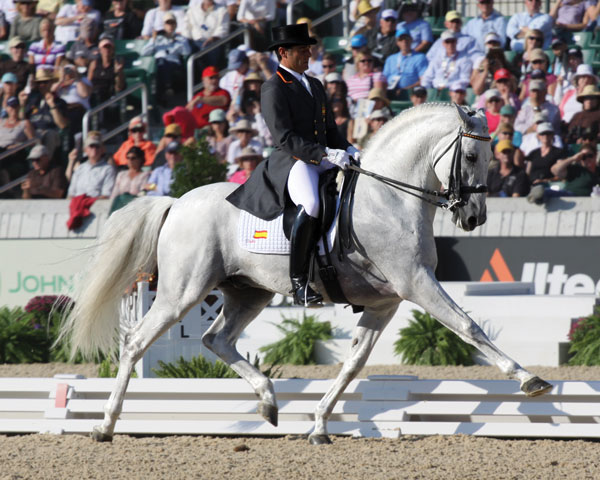 Rider and horse in ring.