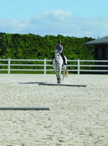 Horse and rider taking angled approach to first pole. - Horse Jump takeoff