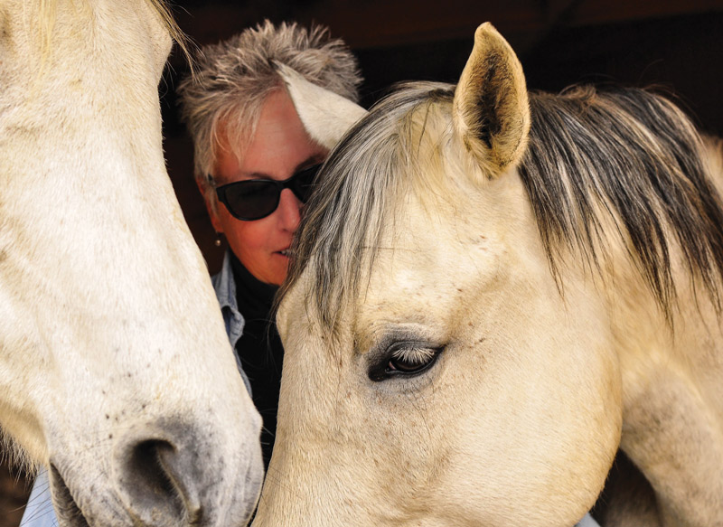 Anna Blake - Self-Publishing Equestrian Authors