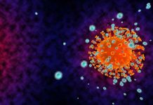 Antibodies to a Virus - Horse Antibodies COVID-19