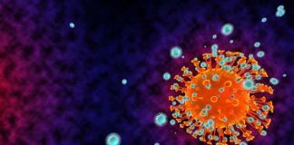 Antibodies to a Virus - Horse Antibodies COVID-19
