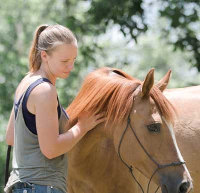 Appalachian Trainer Face Off