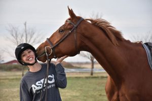 The ASPCA Celebrates First-Ever Adopt a Horse Month this May