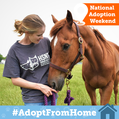 ASPCA National Adoption Week