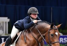 Augusta Iwasaki and Small Affair