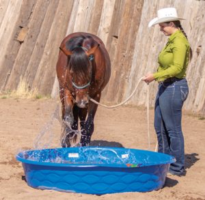 Western Lesson: Introduce Your Horse to a Baby Pool