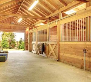 Barn Aisle - Time-Challenged Equestrians